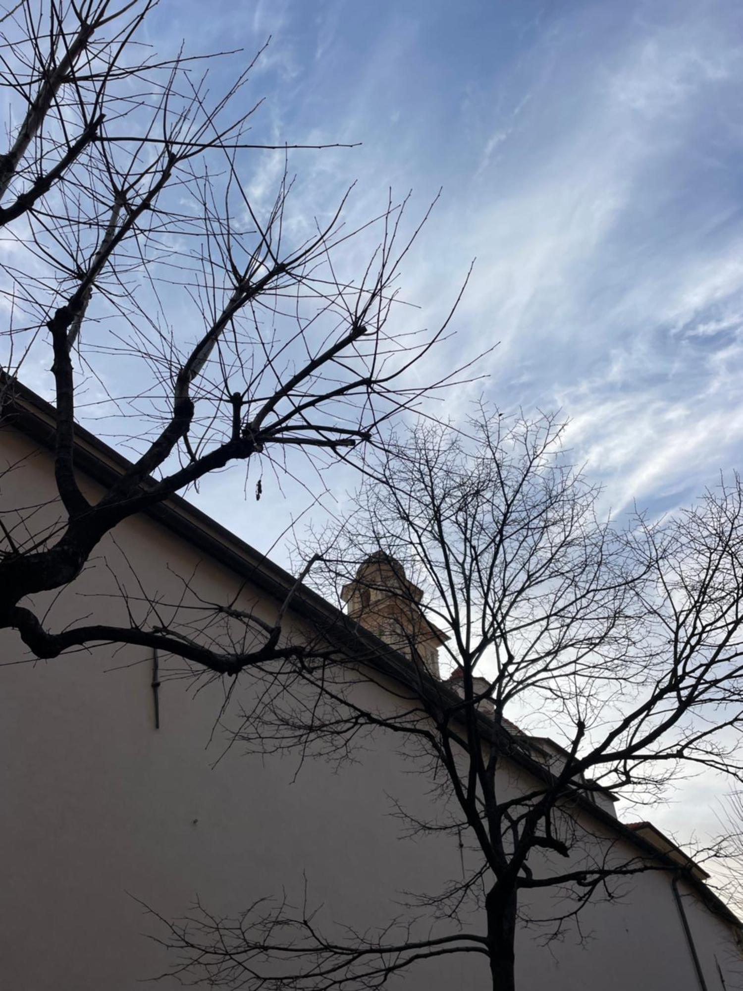 Casa Del Cardinale Leilighet Santo Stefano al Mare Eksteriør bilde