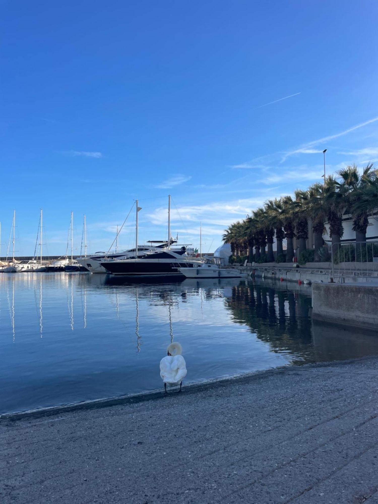 Casa Del Cardinale Leilighet Santo Stefano al Mare Eksteriør bilde